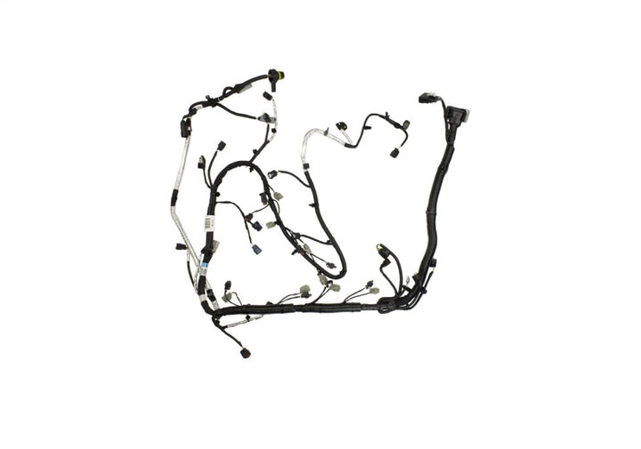 Ford Racing 5.0L Coyote Engine Harness for Automatic Transmission - Bull Strap