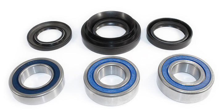 EPI 00-07 Honda TRX 350-500 Rancher Rear Wheel Bearing Kit - Bull Strap
