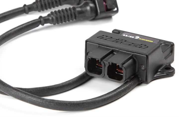 Haltech WB2 Dual Channel CAN O2 Wideband Controller Kit - Bull Strap