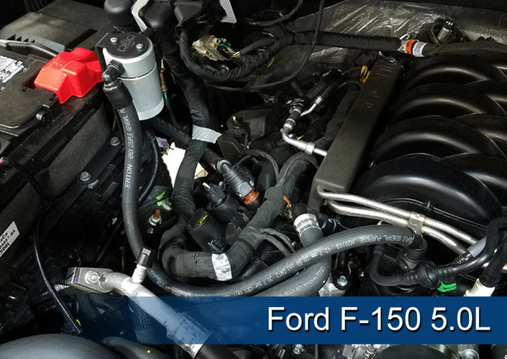J&L 2011-2025 Ford F-150 2.7L/3.5L/5.0L Passenger Side Oil Separator 3.0 - Clear Anodized - Bull Strap