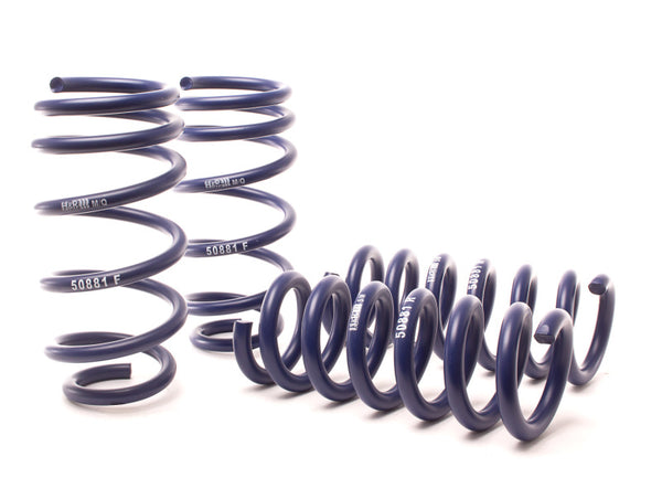 H&R 11-14 Dodge Charger RT (AWD) Max/Plus V8 Sport Spring - Bull Strap