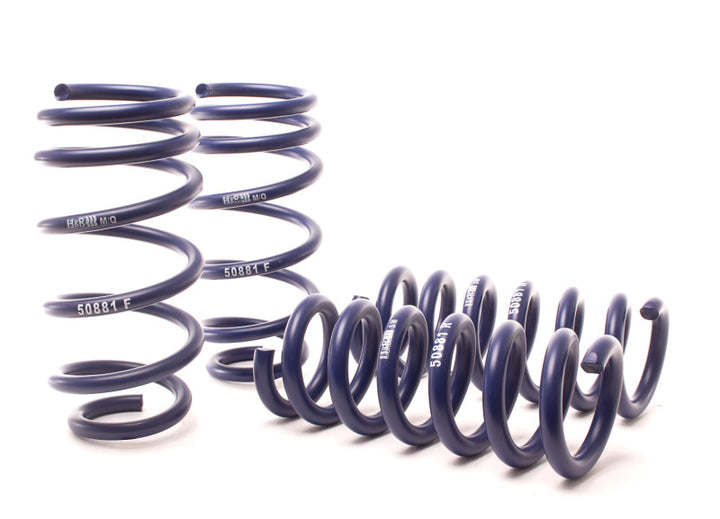 H&R 11-14 Dodge Charger RT (AWD) Max/Plus V8 Sport Spring - Bull Strap