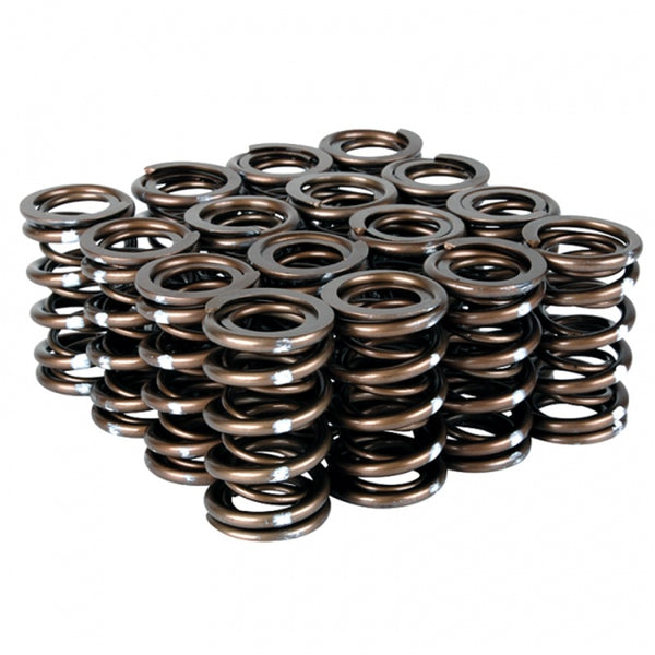 Skunk2 Pro Series Honda/Acura B-Series VTEC XP Valve Spring Set (Dual Springs) - Bull Strap