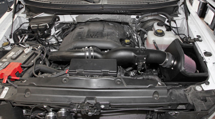 K&N 11-14 Ford F-150 3.5L V6 Performance Intake Kit - Bull Strap