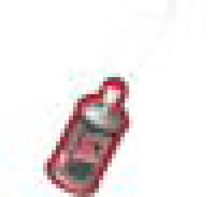 Maxima SC1 Scented Air Freshener - Bull Strap