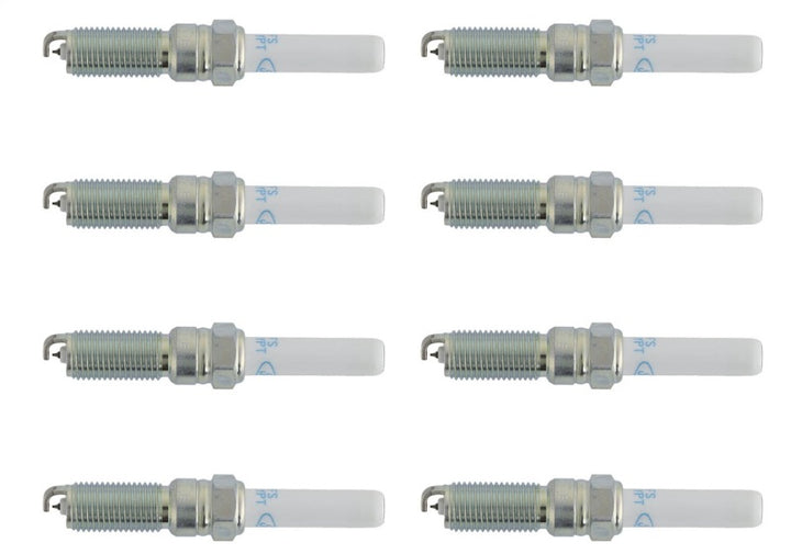 Ford Racing 21-25 F-150 5.0L Coyote (w/Variable Displacement) Cold Spark Plug Set - Bull Strap