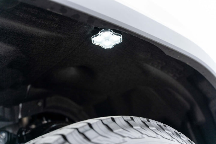 Diode Dynamics Single-Color Rock Light Installer Kit (4-pack) - Bull Strap