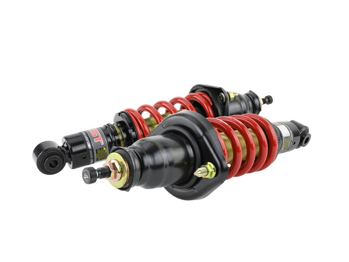 Skunk2 01-05 Honda Civic / 01-05 Acura Integra Pro-ST Coilovers (Front 10 kg/mm - Rear 10 kg/mm) - Bull Strap