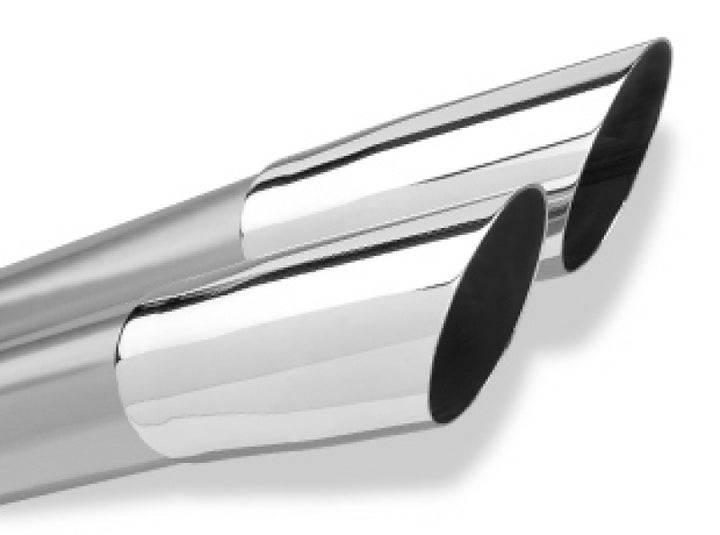Borla 84-92 Chevrolet Camaro / Pontiac Trans Am 5.0L/5.7L V8 3in Adj SS Cat-Back Exhaust w/ Adapters - Bull Strap