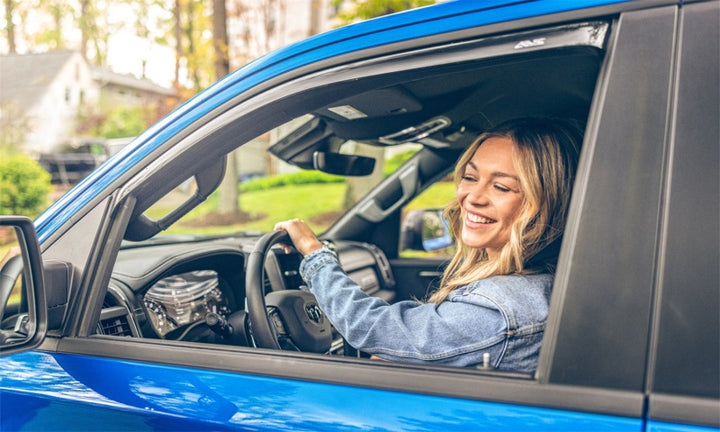 AVS 16-18 Lexus RX350 Ventvisor In-Channel Front & Rear Window Deflectors 4pc - Smoke - Bull Strap