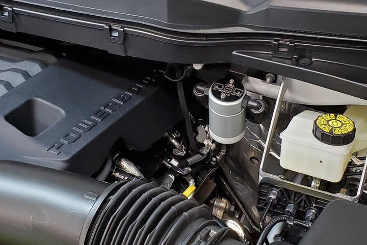 J&L 2021-2025 Ford F-150 3.5L Passenger Side Oil Separator 3.0 - Clear Anodized - Bull Strap