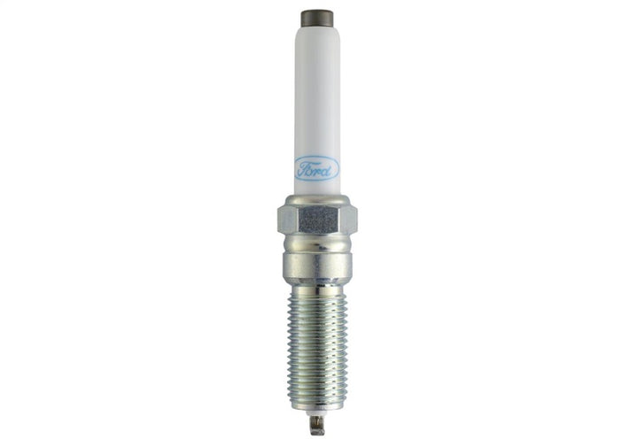 Ford Racing 21-25 F-150 5.0L Coyote (w/Variable Displacement) Cold Spark Plug Set - Bull Strap