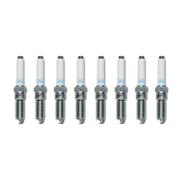 Ford Racing 21-25 F-150 5.0L Coyote (w/Variable Displacement) Cold Spark Plug Set - Bull Strap