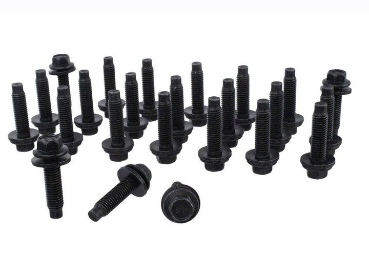 Ford Racing 21-24 Bronco / 22-24 Bronco Raptor/  21-25 F-150 Raptor Bead Lock Ring Kit - Bull Strap