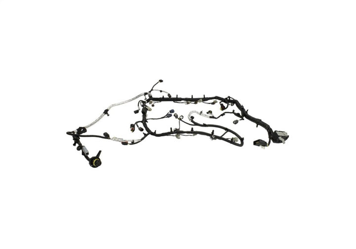 Ford Racing 5.0L Coyote Engine Harness for Automatic Transmission - Bull Strap