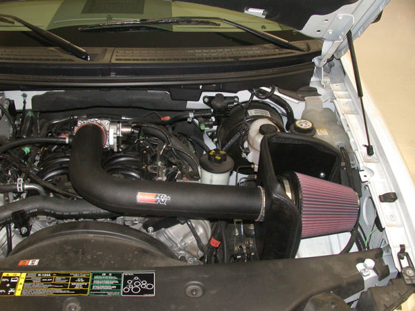 K&N 04 Ford F150 V8-5.4L Performance Intake Kit - Bull Strap