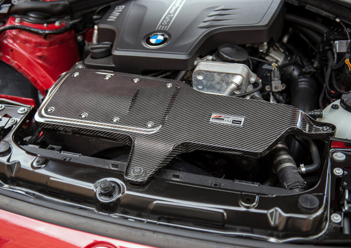 AWE Tuning BMW 228i/320i/328i/428i S-FLO Carbon Intake - Bull Strap
