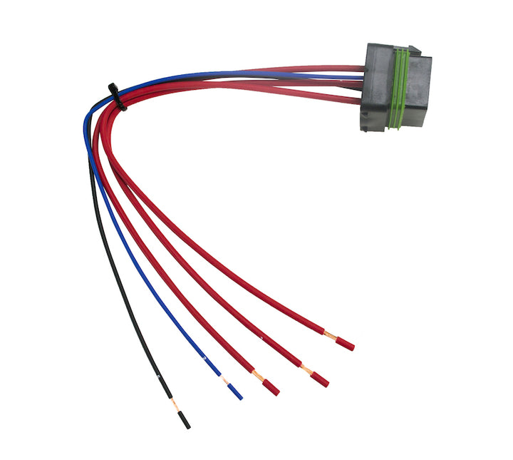 Hella Relay Connector ISO Mini Weatherproof w/ 12in Leads - Bull Strap