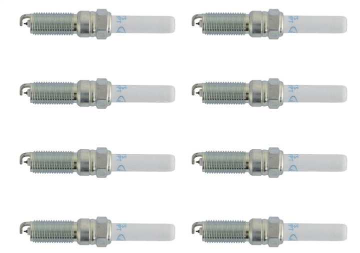 Ford Racing 21-25 F-150 5.0L Coyote (w/Variable Displacement) Cold Spark Plug Set - Bull Strap