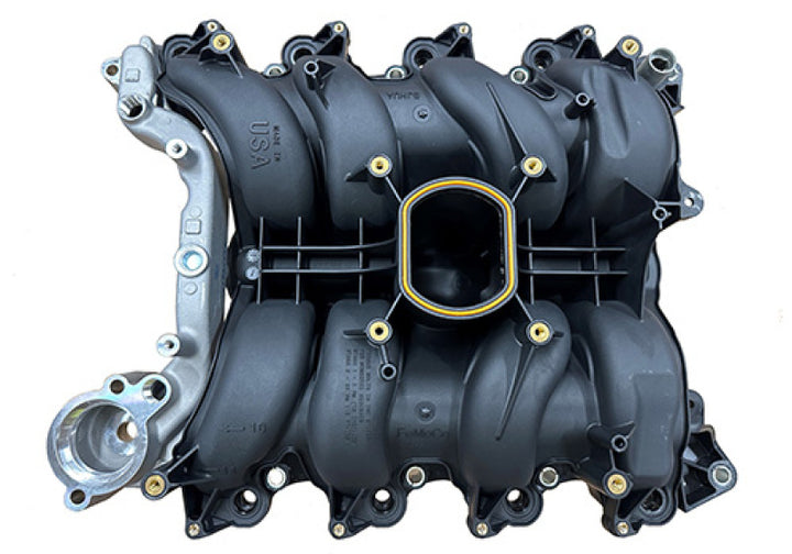 Ford Racing 01-04 Mustang GT 4.6L SOHC 2V Perf Improvement Intake Manifold (Req Manifold Gasket Set) - Bull Strap