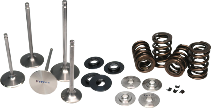 Ferrea 17-18 Audi 2.5 TFSI Single Spring Kit - Bull Strap