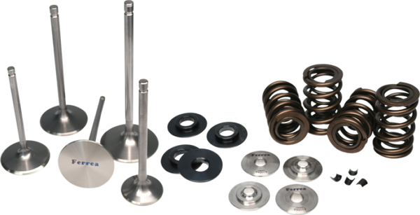 Ferrea BMW N54 Single Spring Kit - Bull Strap