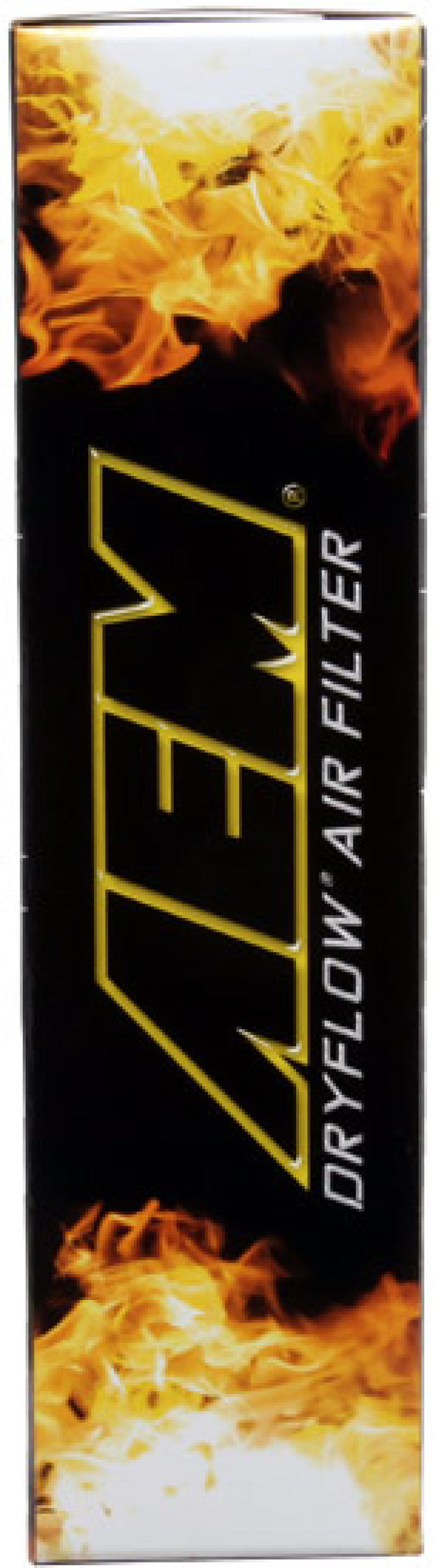 AEM 13-20 Nissan Sentra 1.8L DryFlow Air Filter - Bull Strap