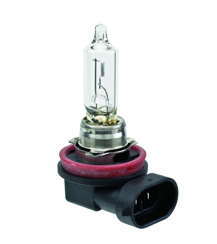 Hella Bulb H9 12V 65W PGJ19-5 T4 - Bull Strap
