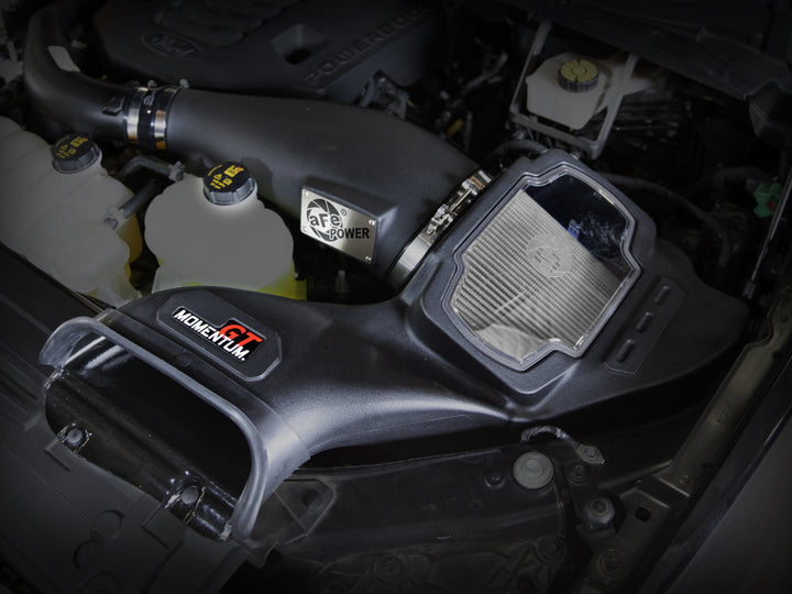 aFe POWER Momentum GT Pro Dry S Intake System 21-22 Ford F-150 V6-3.5L (tt) PowerBoost - Bull Strap