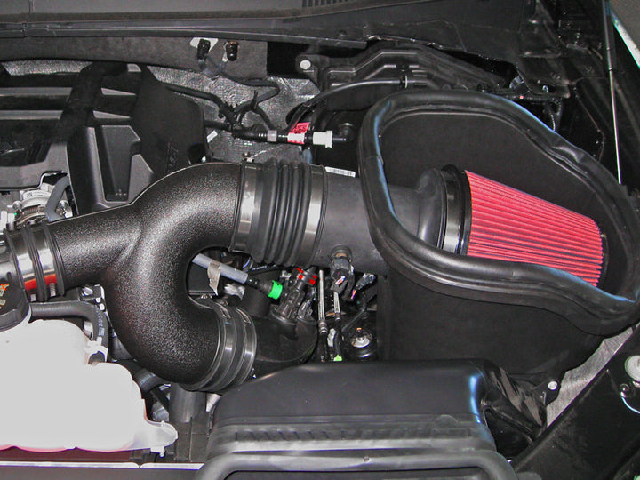 Roush 2015-2017 F-150 2.7L/3.5L EcoBoost Cold Air Kit (Incl. Raptor) - Bull Strap