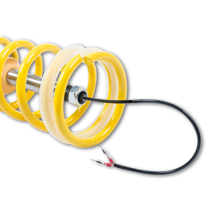 KW Coilover Kit DDC ECU BMW M4 (F82) Coupe - Bull Strap