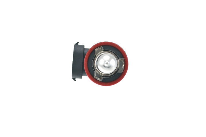 Hella H11 12V 55W Xenon White XB Bulb (Pair) - Bull Strap