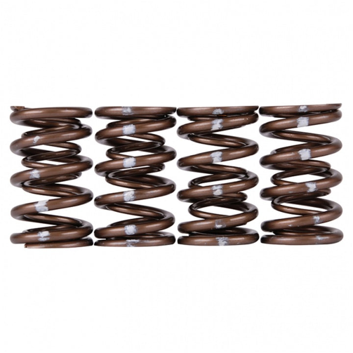 Skunk2 Pro Series Honda/Acura B-Series VTEC XP Valve Spring Set (Dual Springs) - Bull Strap