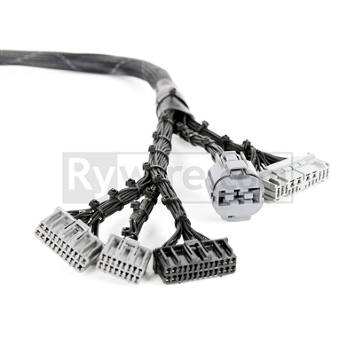 Rywire Honda B-Series OBD1 Tuck Budget Eng Harness w/OBD1 Dist/Inj/Alt/92-95 ECU Plugs (Adapter Req) - Bull Strap