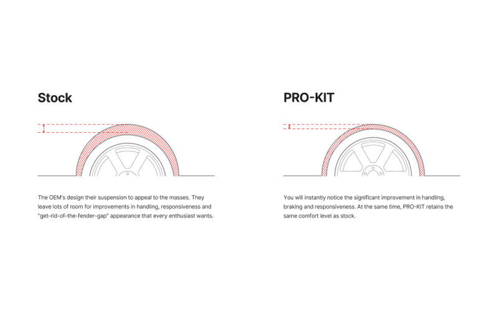 Eibach Pro-Kit for 17-20 Tesla 3 Standard Range - Bull Strap