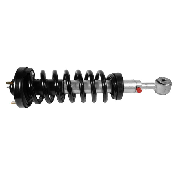Rancho 04-08 Ford Pickup / F100 Quick Lift Loaded - Bull Strap