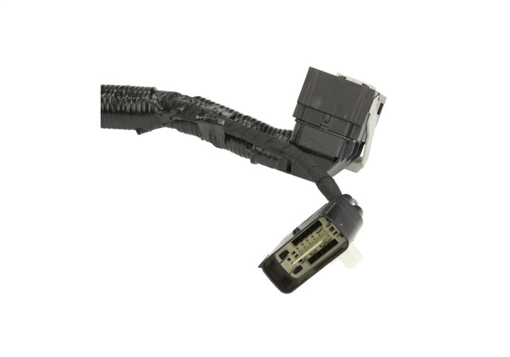 Ford Racing 5.0L Coyote Engine Harness for Automatic Transmission - Bull Strap