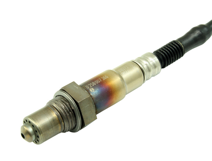 AEM Bosch UEGO Replacement Sensor - Bull Strap
