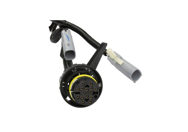 Ford Racing 5.0L Coyote Engine Harness for Automatic Transmission - Bull Strap