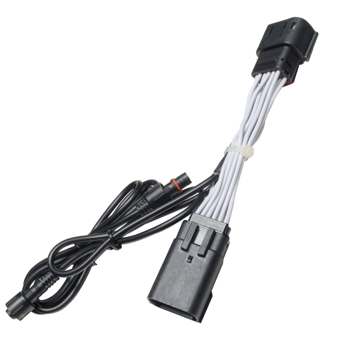 Oracle Jeep Gladiator JT Rear Bumper LED Reverse Lights w/ Plug & Play Harness - 6000K - Bull Strap