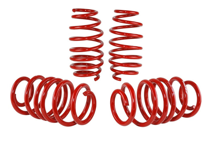 Skunk2 12 Honda Civic Lowering Springs (2.25 - 2.00in) (Set of 4) - Bull Strap