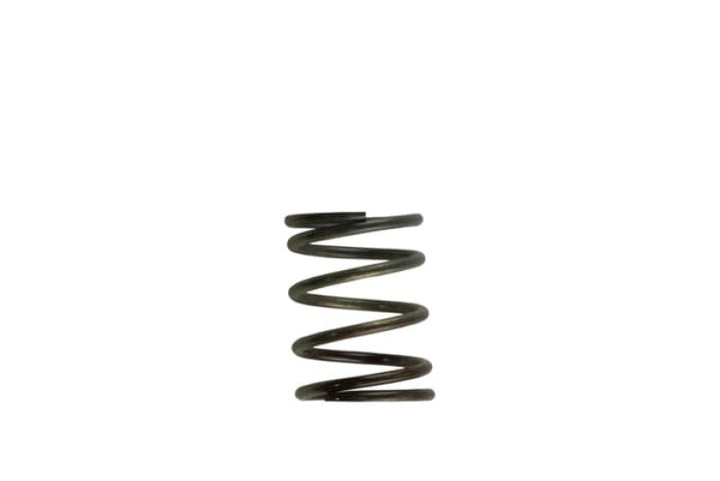 Turbosmart WG40 5PSI Inner Spring Brown/Grey - Bull Strap