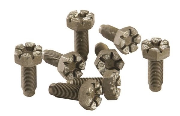 Ford Racing 4.6L Manual Flywheel Bolts - Bull Strap