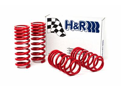 H&R 94-95 Ford Mustang/Mustang Cobra V8 Race Spring - Bull Strap