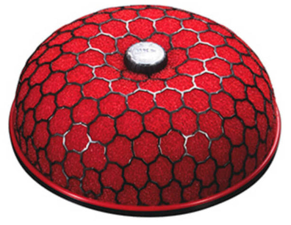 HKS SPF ASSY 200-80 Wet 2row (RED) - Bull Strap