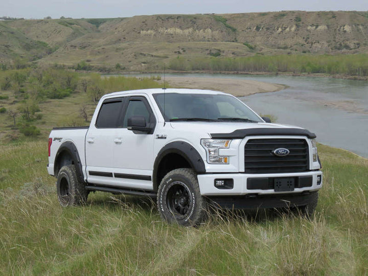 EGR 15+ Ford F150 Superguard Hood Shield - Matte (303475) - Bull Strap