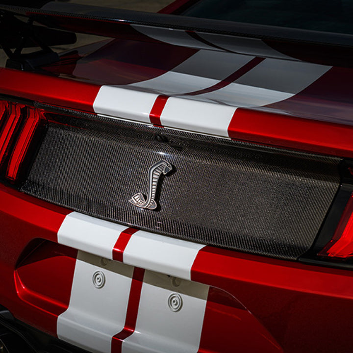 Ford Racing 20-22 Mustang GT500 Deck Lid Trim Panel - Bull Strap