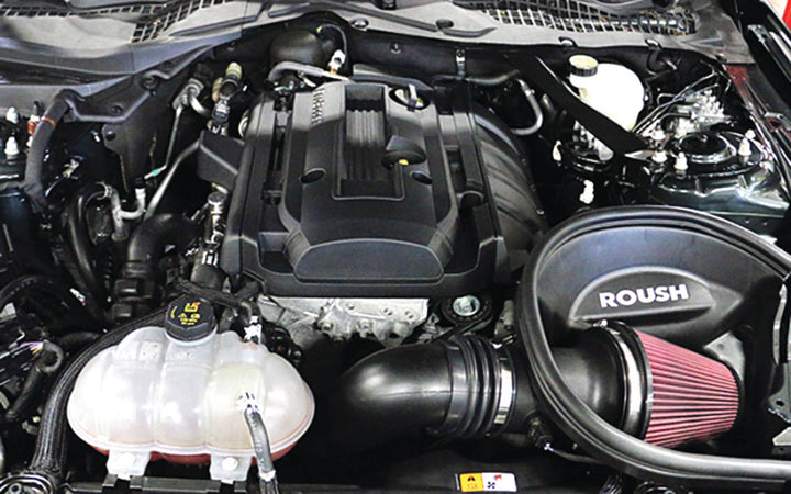 Roush 2015-2017 Ford Mustang 2.3L Cold Air Kit - Bull Strap