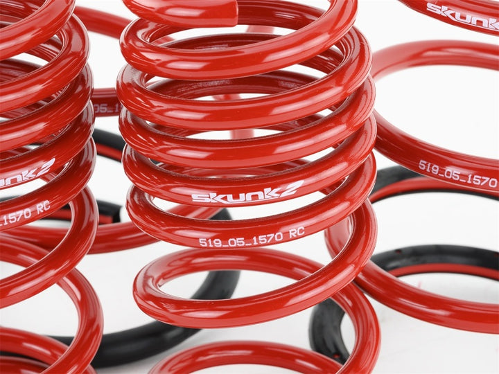 Skunk2 01-05 Honda Civic Lowering Springs (2.25in - 2.00in.) (Set of 4) - Bull Strap