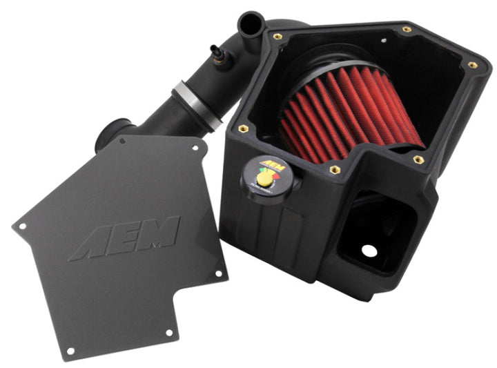 AEM 09-11 Mitsubishi Lancer Ralliart 2.0L L4 Cold Air Intake - Bull Strap